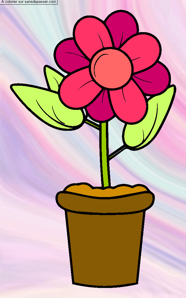 Pot de fleur par un invit&eacute;