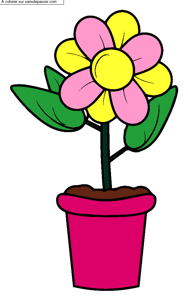Pot de fleur par un invit&eacute;