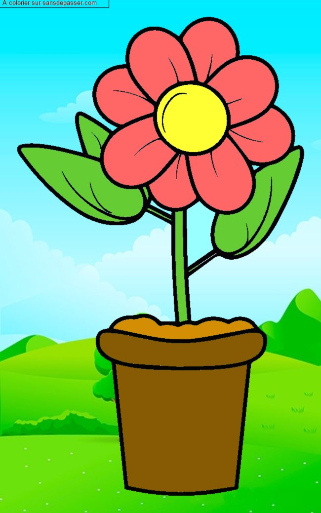 Pot de fleur par un invit&eacute;