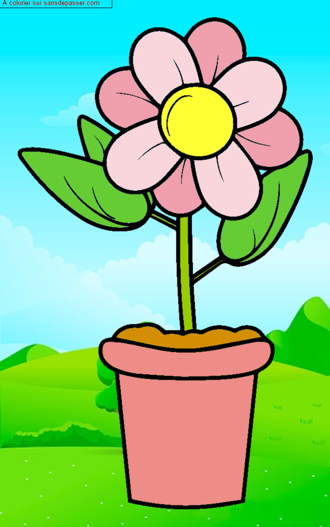 Pot de fleur par un invit&eacute;