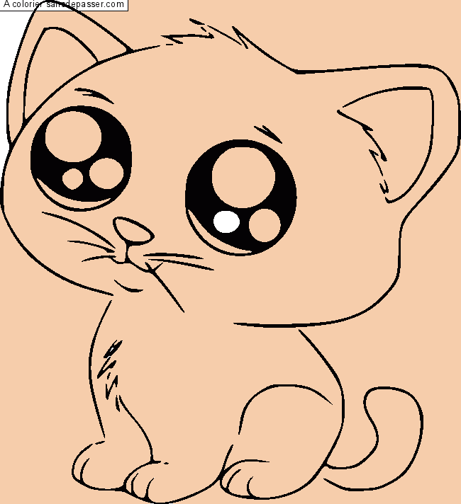 Petit Chat par un invit&eacute;
