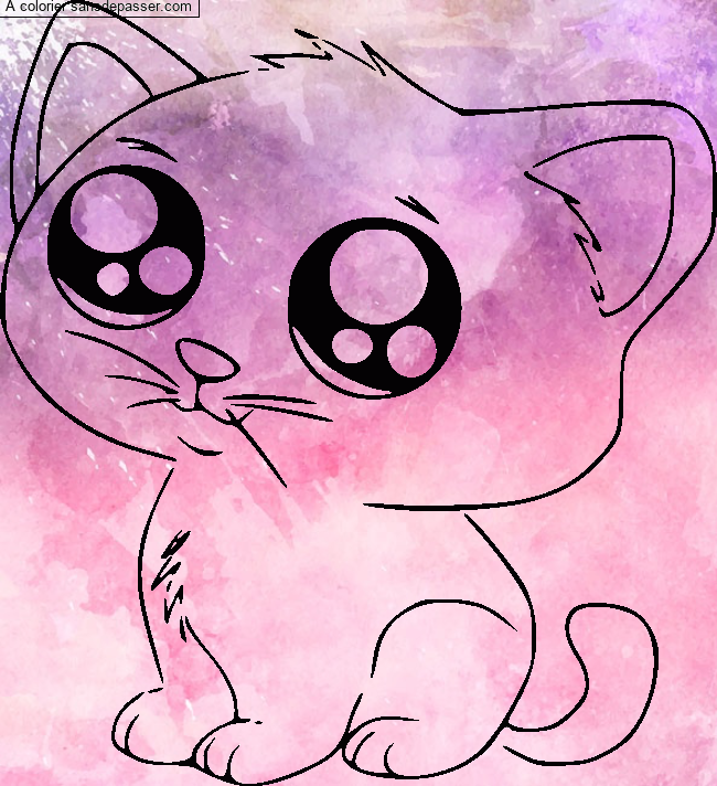 Petit Chat par un invit&eacute;
