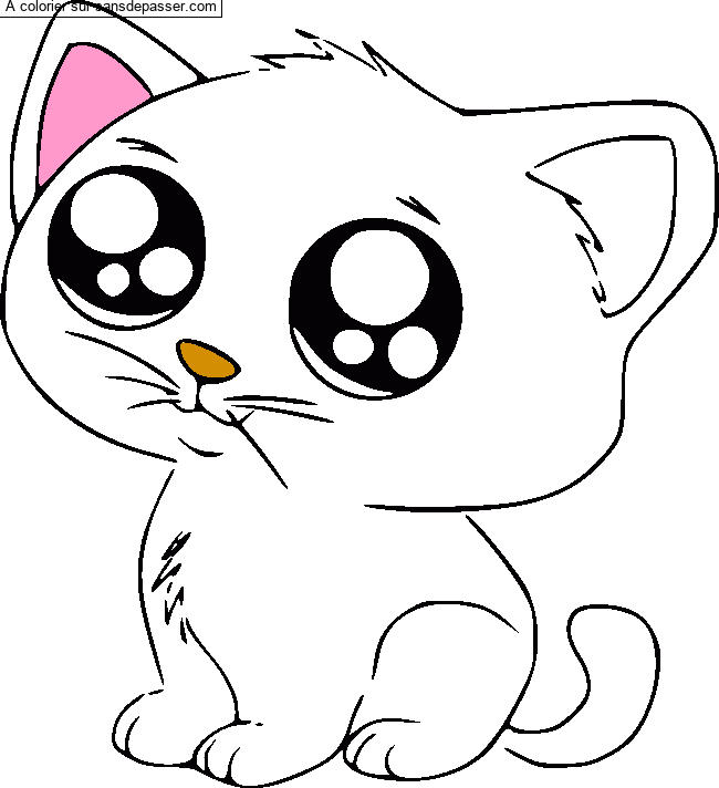 Petit Chat par un invit&eacute;