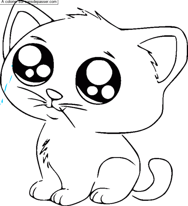 Petit Chat par un invit&eacute;