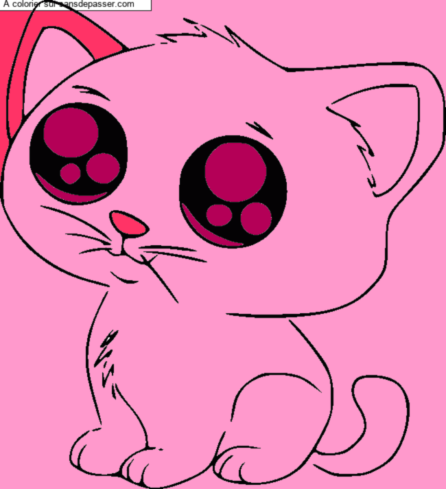 Petit Chat par un invit&eacute;