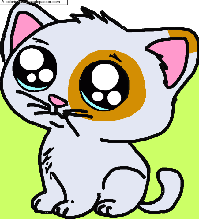 Petit Chat par un invit&eacute;