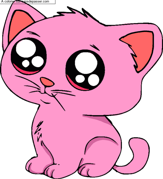 Coloriage Petit Chat par un invit&eacute;