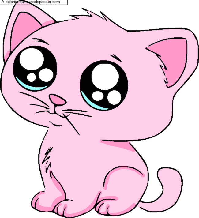 Coloriage Petit Chat par un invit&eacute;