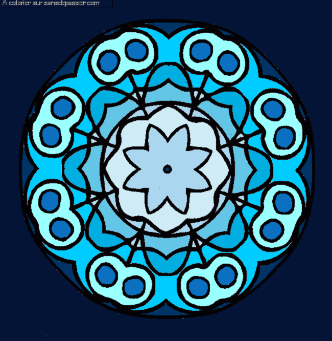 Mandala Fleur par un invit&eacute;