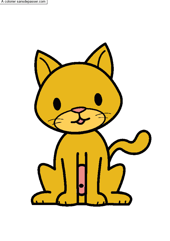Chat assis par un invit&eacute;