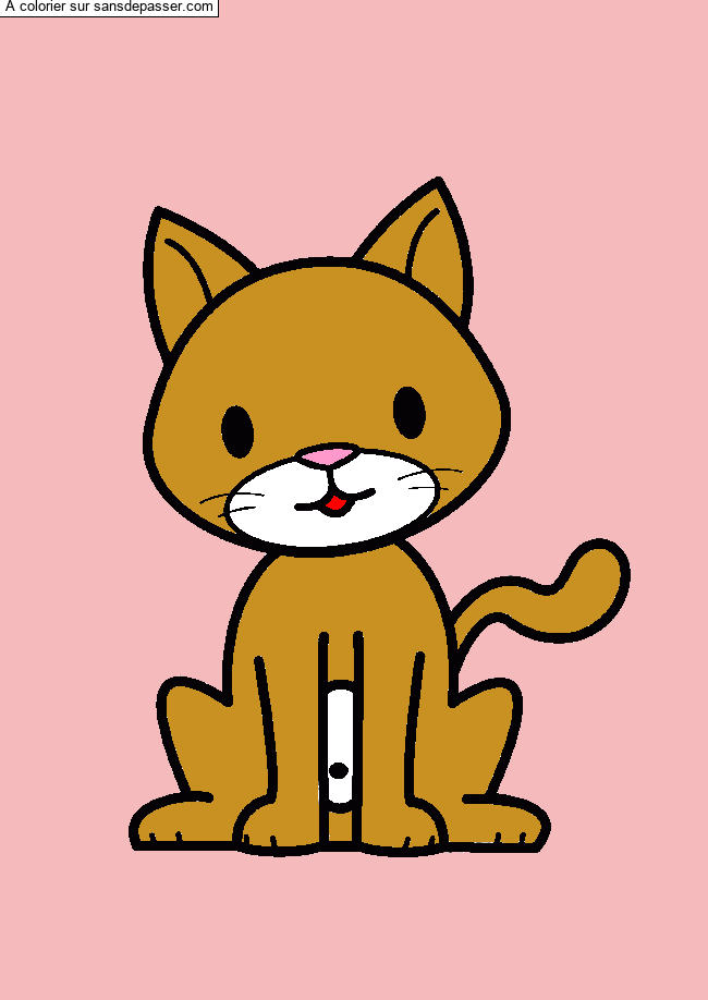 Chat assis par un invit&eacute;