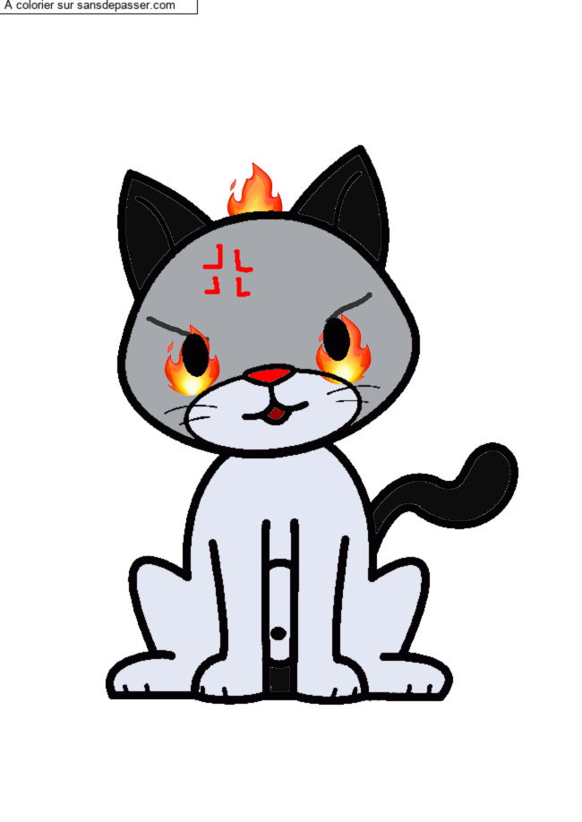 Chat assis par un invit&eacute;