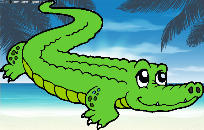 Crocodile mignon par un invit&eacute;