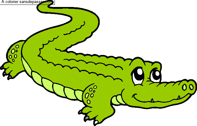 Coloriage Crocodile mignon