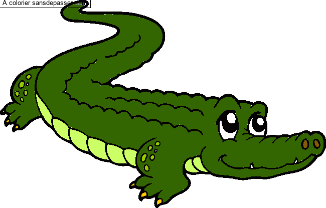 Crocodile mignon par un invité
