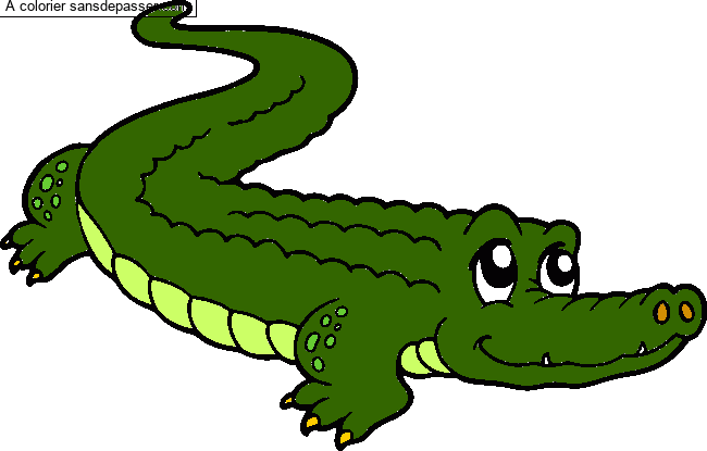 Coloriage Crocodile mignon