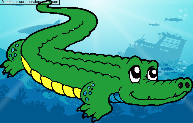 Crocodile mignon par un invit&eacute;