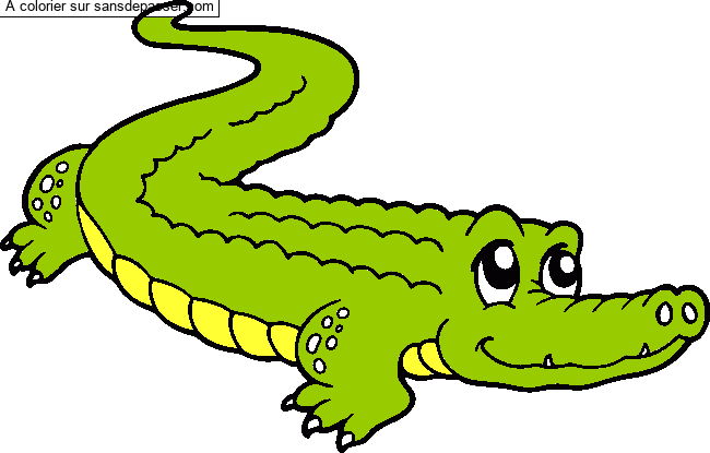 Crocodile mignon par un invit&eacute;