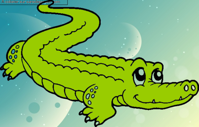 Crocodile mignon par un invit&eacute;