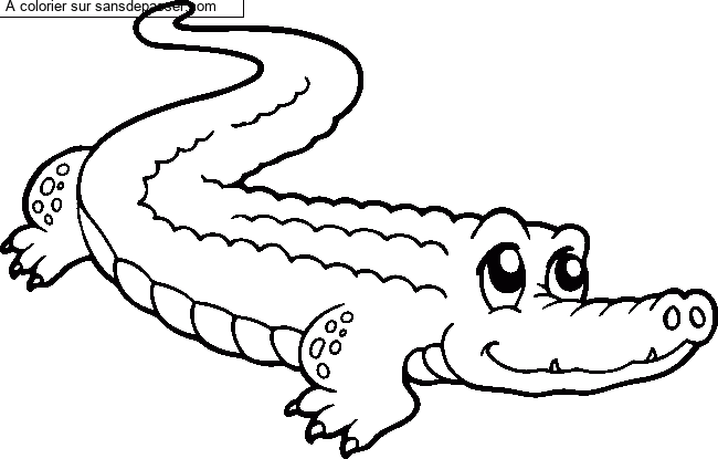 Crocodile mignon par un invit&eacute;