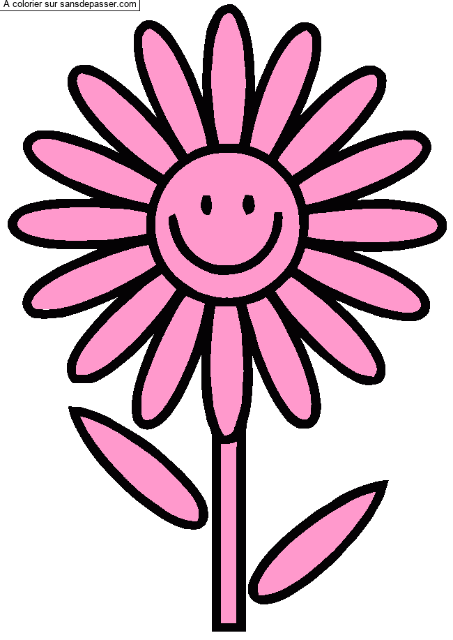 Fleur souriante par un invit&eacute;