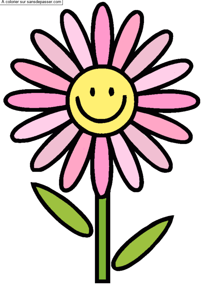 Fleur souriante par un invit&eacute;