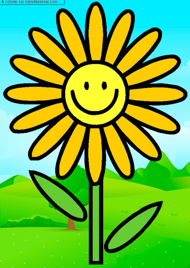 Fleur souriante par un invit&eacute;