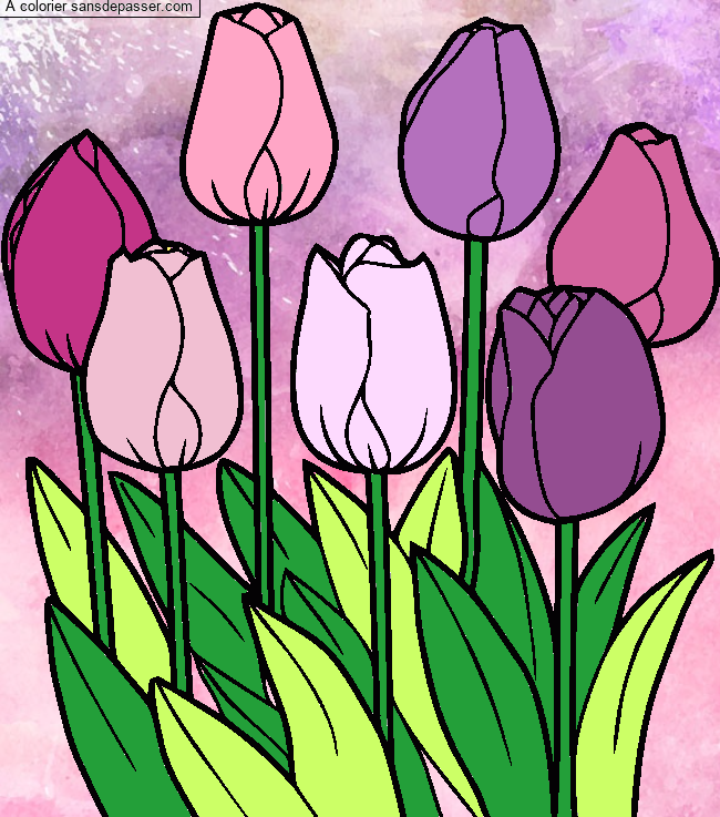 Tulipes par un invit&eacute;