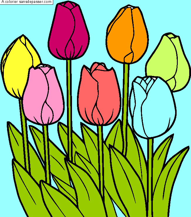 Tulipes par trolls