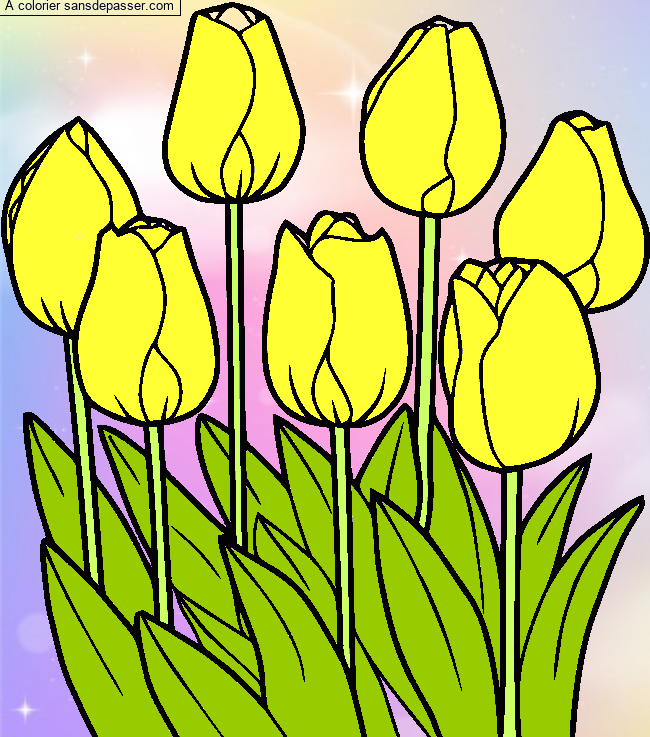Tulipes par chloemorg