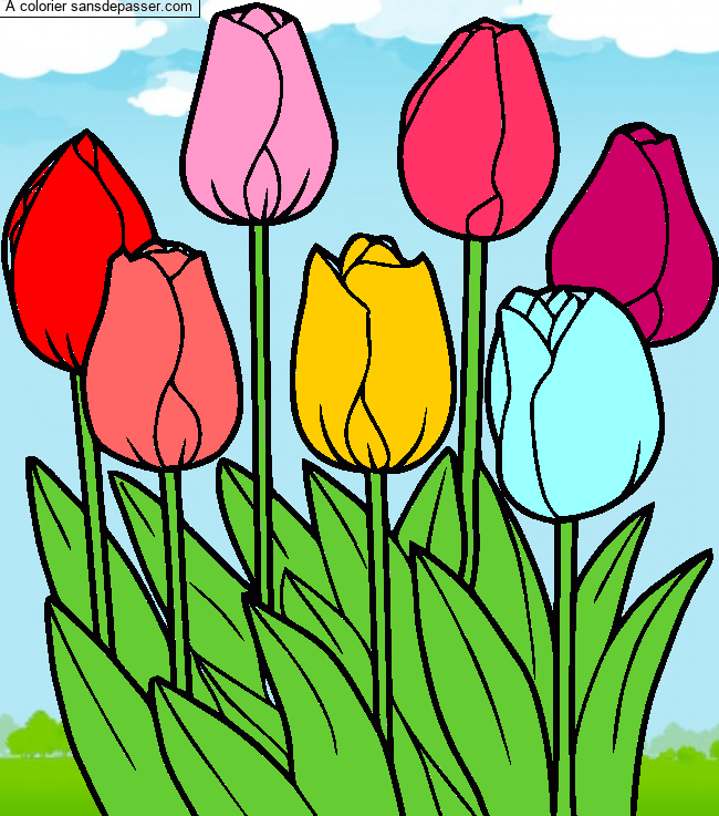 Tulipes par un invit&eacute;
