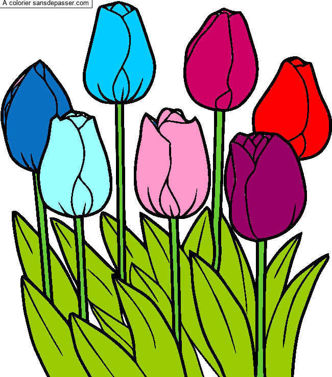 Coloriage Tulipes par Emma38