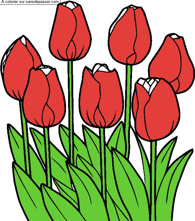 Coloriage Tulipes par LEANA