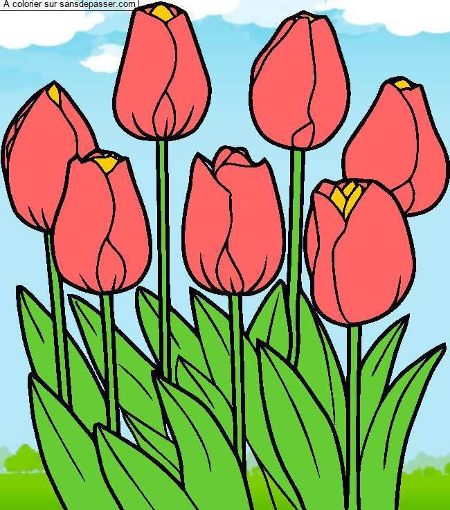 Coloriage Tulipes par un invité
