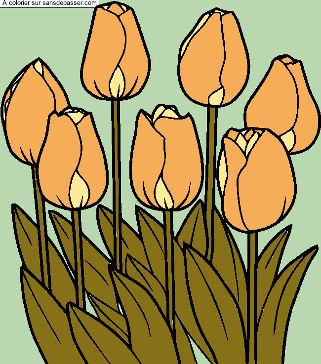 Tulipes par un invit&eacute;