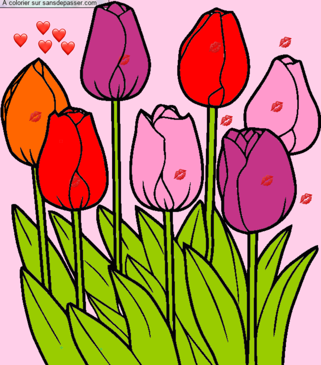 Tulipes par un invit&eacute;