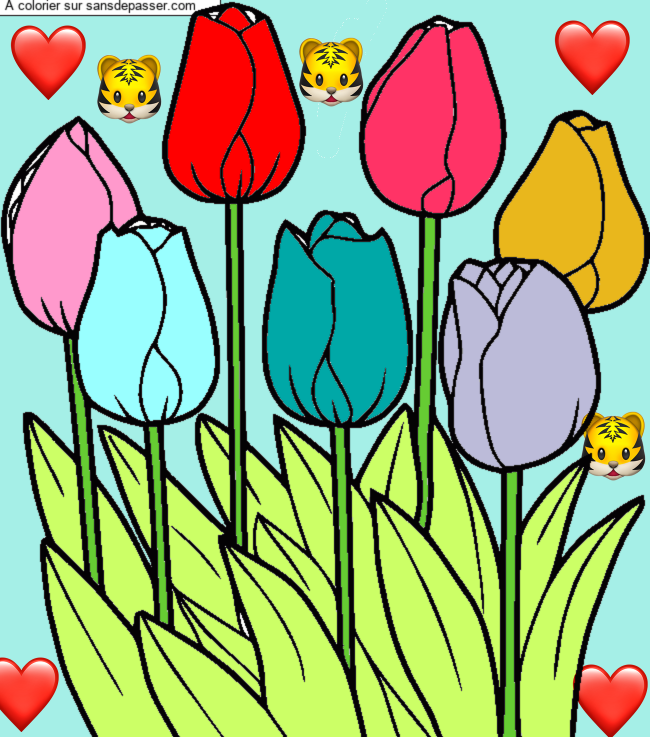Tulipes par un invit&eacute;