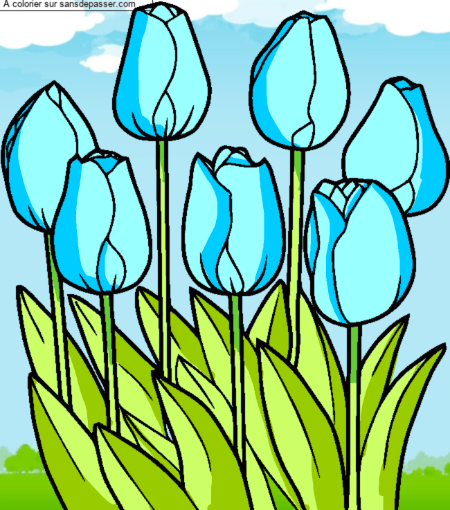 Tulipes par un invit&eacute;