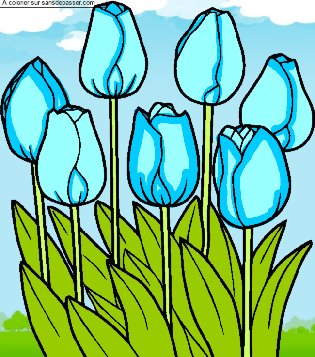 Coloriage Tulipes par un invit&eacute;