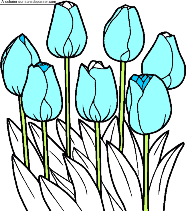 Tulipes par un invit&eacute;