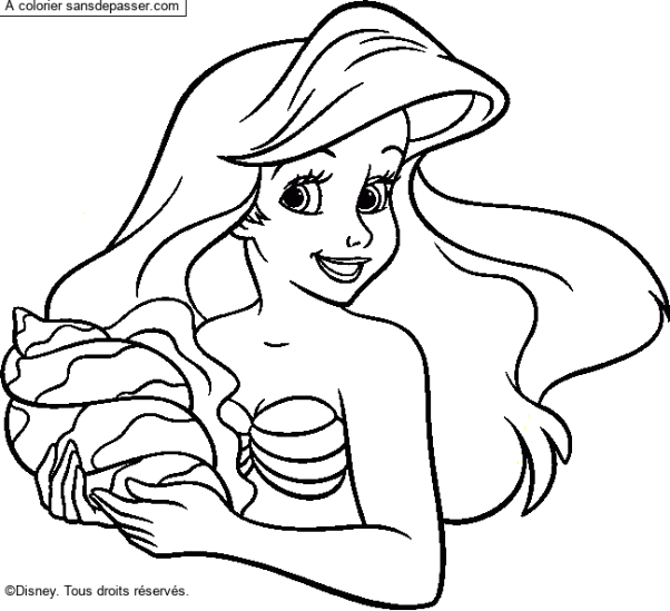 Ariel, la petite sirène par un invité