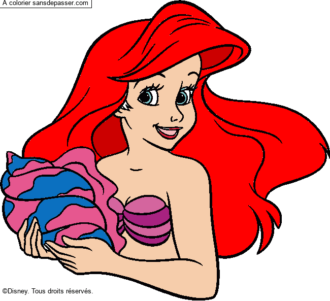 Ariel, la petite sir&egrave;ne par un invit&eacute;
