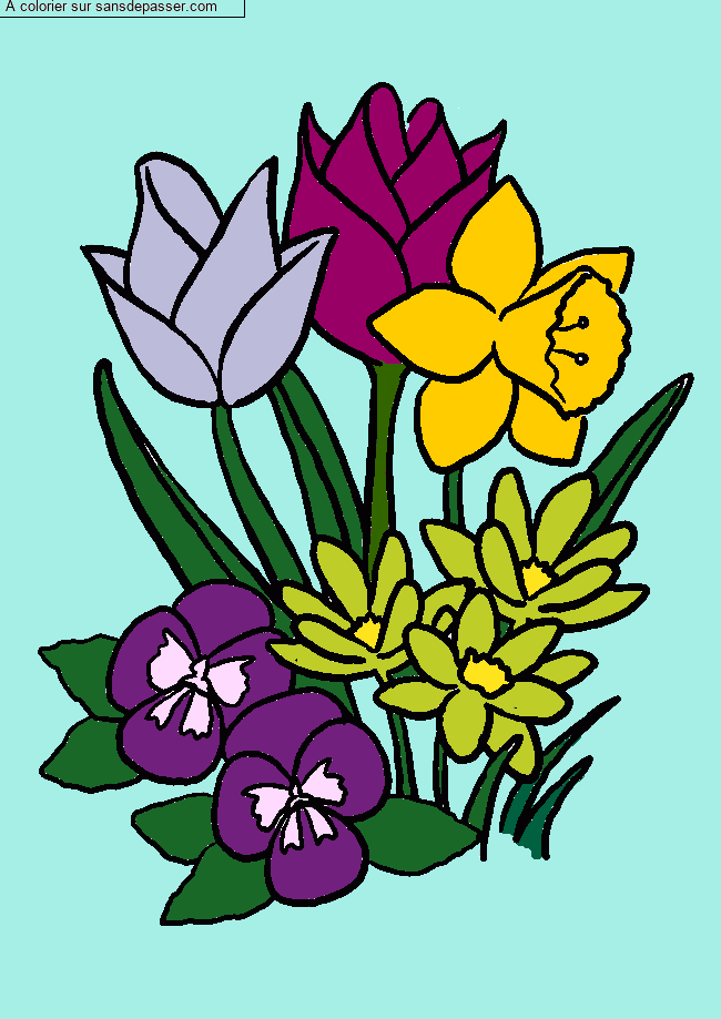 Tulipes et jonquilles par un invit&eacute;