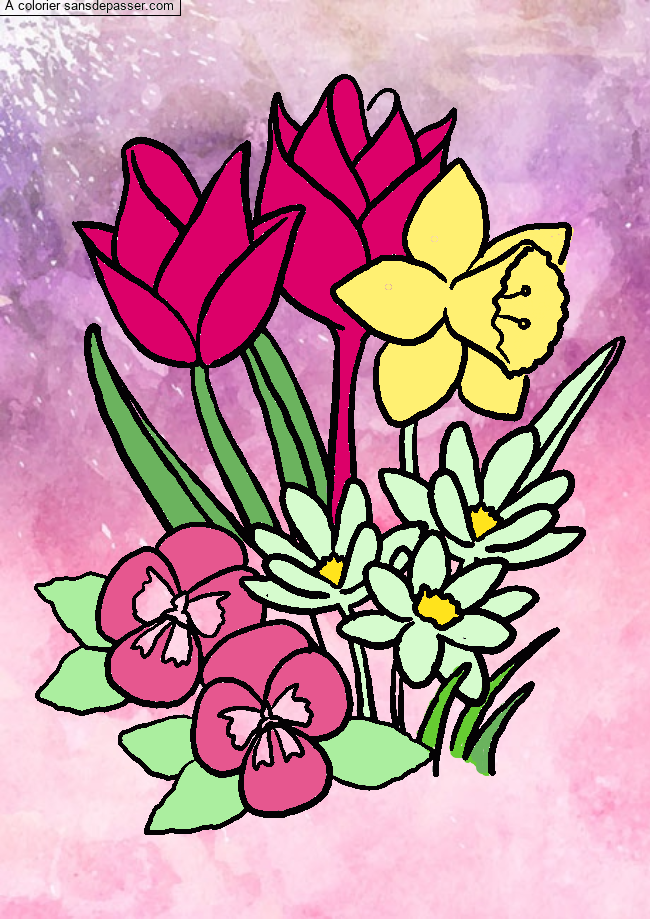 Coloriage Tulipes et jonquilles