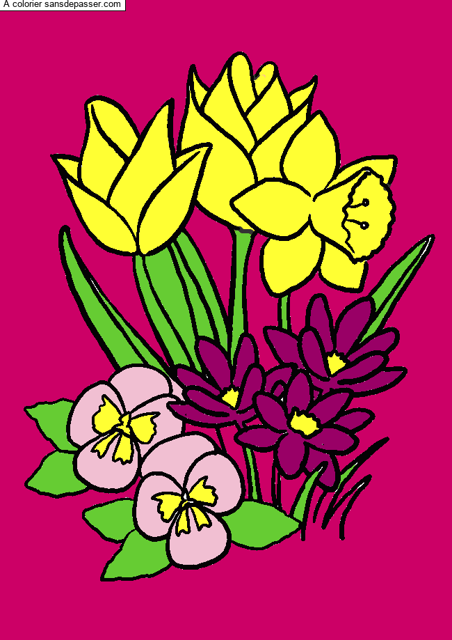 Coloriage Tulipes et jonquilles par un invité