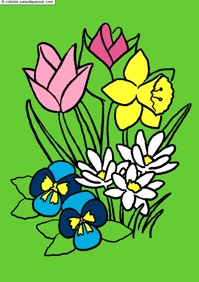 Tulipes et jonquilles par un invit&eacute;