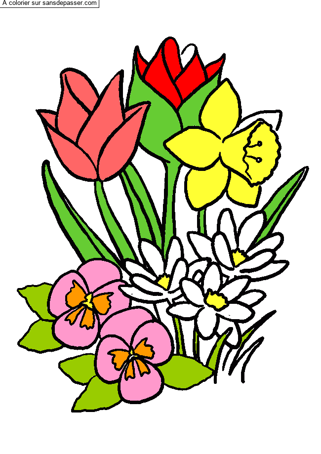 Coloriage Tulipes et jonquilles par L&eacute;onie0401
