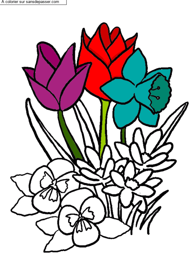 Coloriage Tulipes et jonquilles par un invit&eacute;
