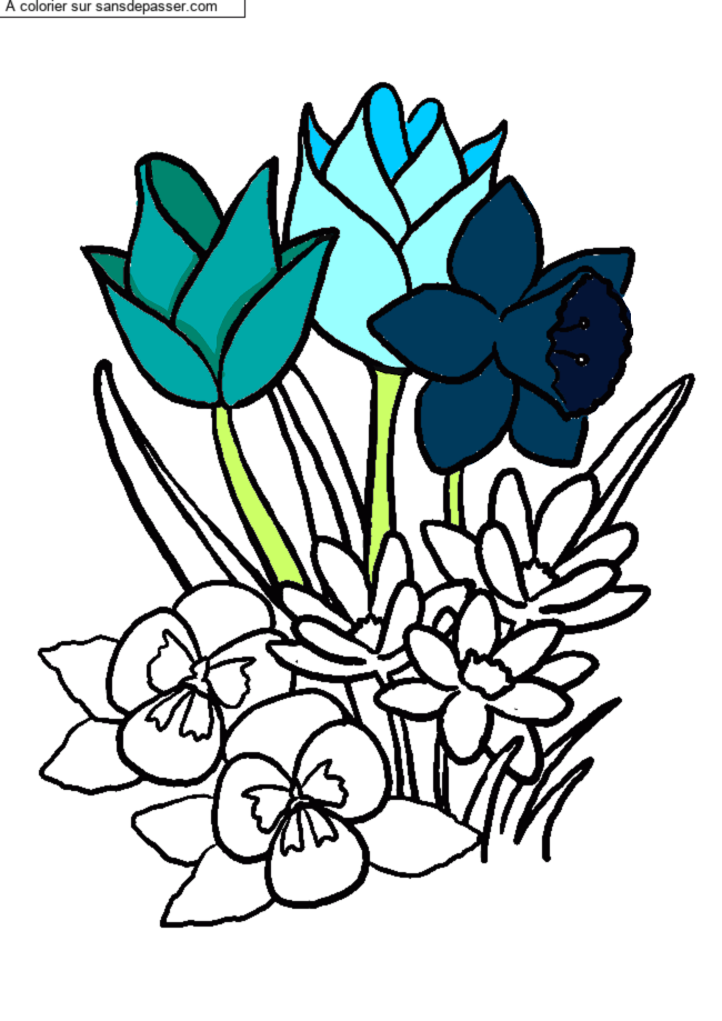 Coloriage Tulipes et jonquilles par un invit&eacute;