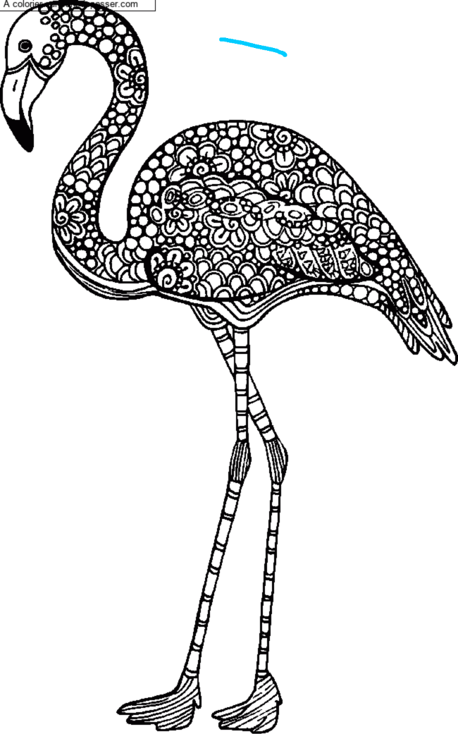 Flamant rose - Mandala par un invit&eacute;